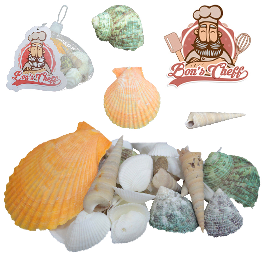ENFEITE DECORATIVO CONCHAS DO MAR SORTIDAS 100G 