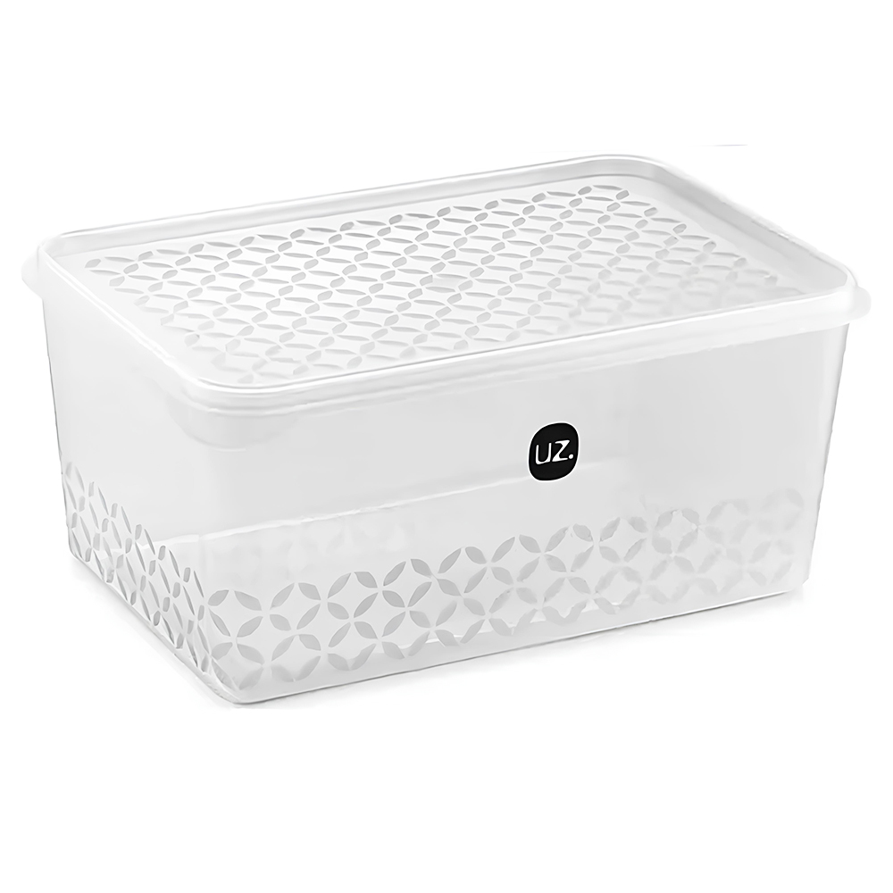 ORGANIZADOR DE PLASTICO RETANGULAR COM TAMPA TRANSPARENTE 250ML 12,5X8,5X4,5CM