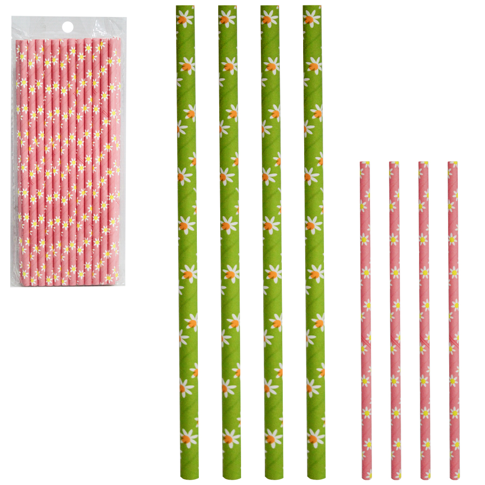 CANUDO DE PAPEL RETO BIODEGRADAVEL MARGARIDA COM 25 PECAS 20CM